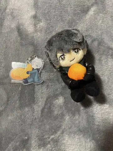 HYDE Wakayama 봉제 인형과 키링 세트