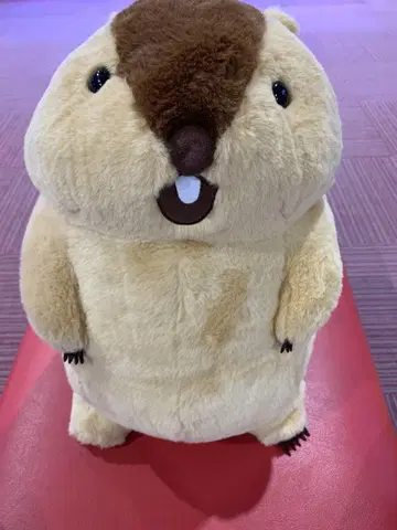 마모트 울트라 BIG 봉제 인형