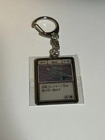 HUNTER x HUNTER 토가시 요시히로전 이탈 키링