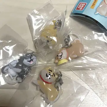 시반반 SHIBANBAN 메지루시 액세서리