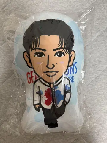 사노 레오 쿠션