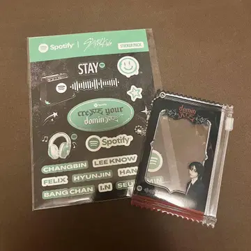 Stray Kids 스키즈 서울콘 Spotify 혜택 파우치 한