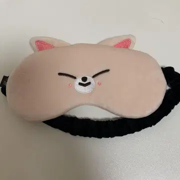 Straykids 스키즈 아이엔 폭시니 IN 안대