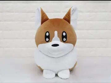 요루시카 코기 봉제인형