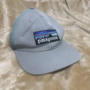 레어/PATAGONIA/파타고니아/메쉬 캡/모자