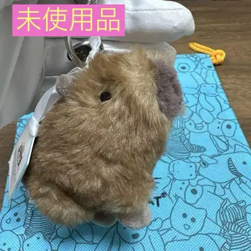 미사용품 젤리캣 카피바라 capybara 봉제 인형 키링