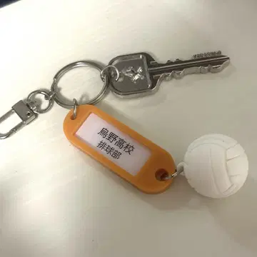하이큐 카라스노 고교 열쇠 참