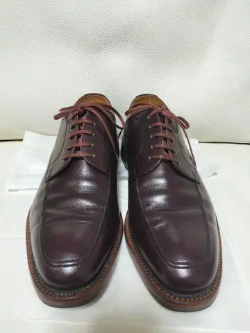 스코치그레인 U팁 버건디 25.5cm