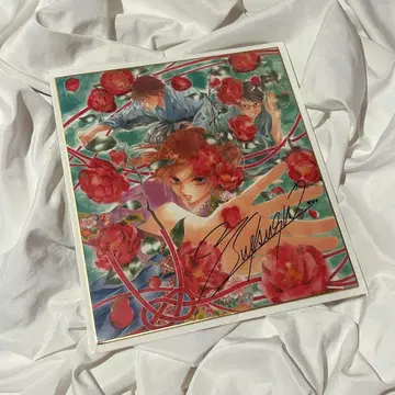 치하야후루 치하야후루전 색지 아야세 치하야 마시마 타이치 와타야 아라타