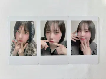 DMONSTER D몬 폴라로이드 하피카 마나코