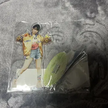 혼도 카에데 퍼스트 사진집 [MUTE] VVSTORES 한정 특전