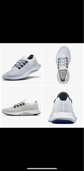 Allbirds 스니커즈 우먼 트리대셔 (여성용)