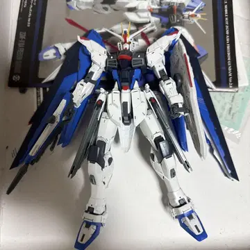 MG 1/100 프리덤 건담 Ver 2.0 [완성품]