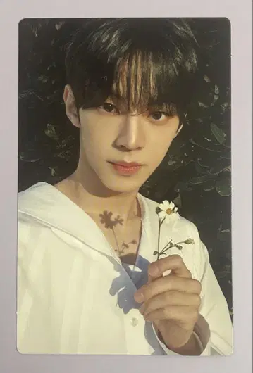 TWS 도훈 처음 뵙겠습니다 초회판 B 트레이딩 카드