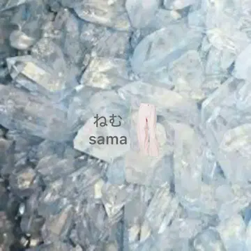 팬츠 네무sama