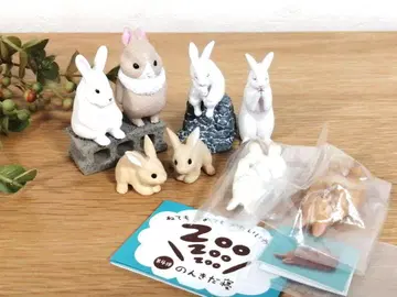 토끼 세트 8마리