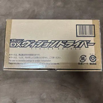 DX 비전 드라이버