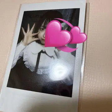 사쿠라바 하루카 폴라로이드 대혜택회 meroir 큐스토