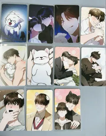 강아지에게 손대지 마 포토 카드 트레이딩 카드 한국 BL 2