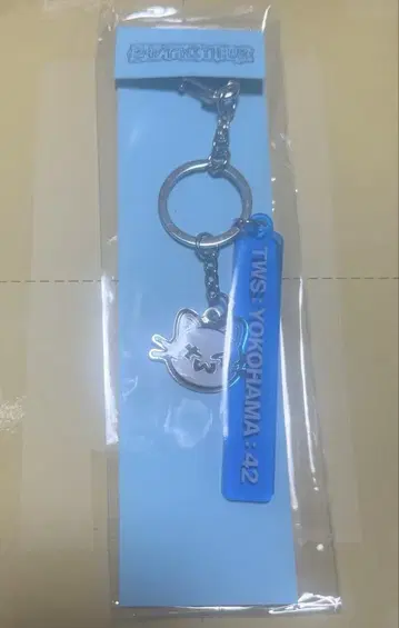 TWS 2025 JAPAN 투어 굿즈 팝업 로컬 키링 요코하마