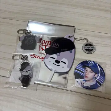 straykids dominATE 방찬 울프찬