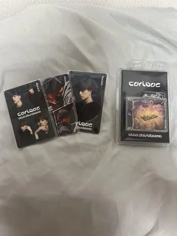 curious ALAN SHIRAHAMA 뮤직 카드 3형태 컴프