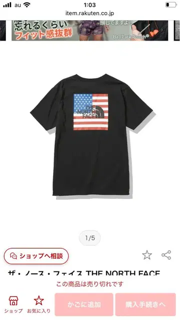 THE NORTH FACE National Flag Tee XXL