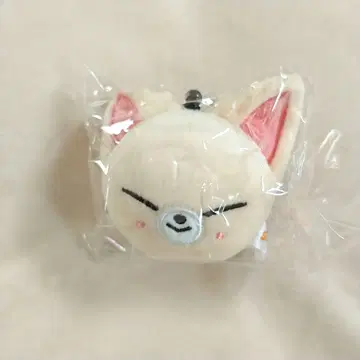 Stray Kids 아이엔 SKZOO 3