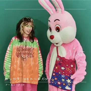 나카 리이사 re. RE. 별 패턴 니트 토트백