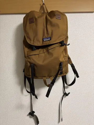 patagonia 브라운 백팩
