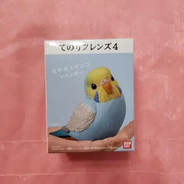 손바닥 프렌즈 4 세키세이 잉꼬