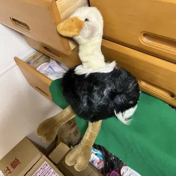 리얼 타조 봉제 인형 약 30cm