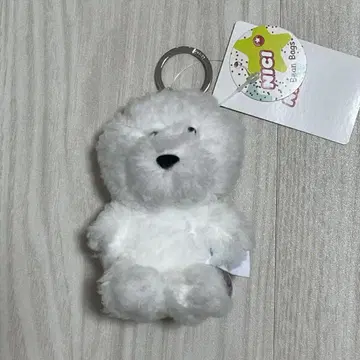 nici 비숑프리제 새상품급