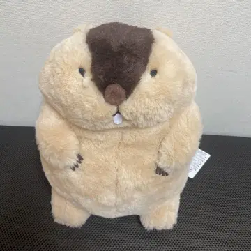 마모트의 못톳토 봉제 인형 하마모토