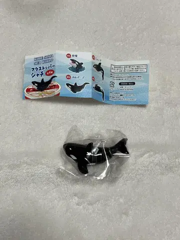 스마 씨월드 오리지널 가챠가챠 후타 스토퍼 샤치 피규어