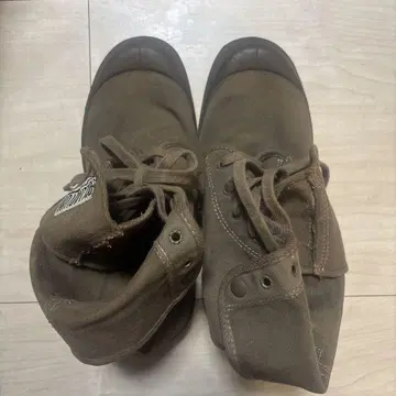 팔라디움 신발