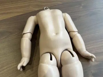 selley사 콤포지션 바디 바디 사이즈 44cm & 인형 스탠드