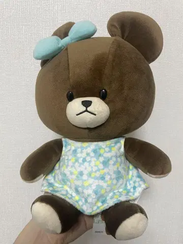 [택 포함 미사용 새상품] 곰돌이 학교 부드러운 봉제 인형 M