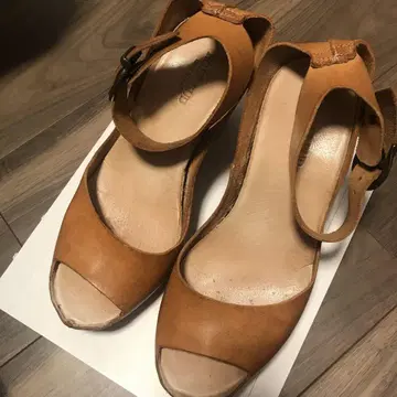 로즈버드