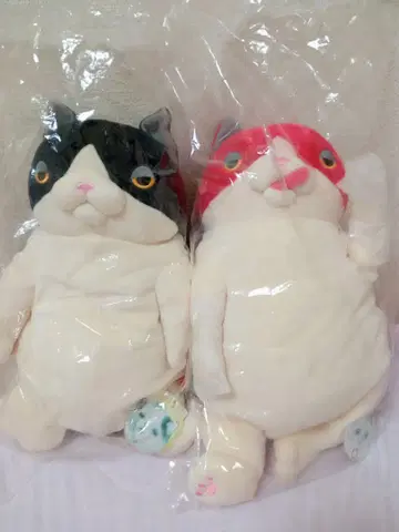 타카하시 히로무 모찌네코 L 사이즈