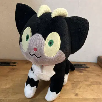 청의 엑소시스트 쿠로 봉제 인형 고양이 검은 고양이 마스코트
