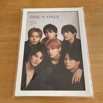 ONE N' ONLY OFFICIAL CALENDAR 2025