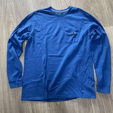 Patagonia 파타고니아 레스폰시빌리티 롱 T