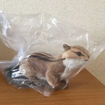 Hansa 한사 다람쥐 시마리스 다람쥐