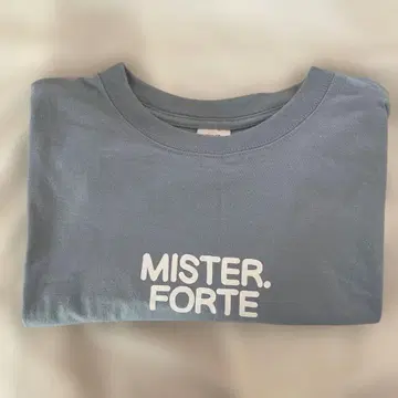 Mr. 훠르테 셔츠