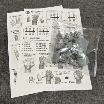 [익명 배송] 코토부키야 핸드 모델 1/2 그레이