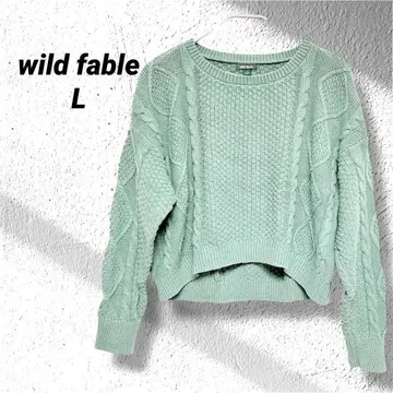 wild fable 민트 그린 케이블 니트 L 쿨넥 긴팔