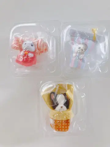 실바니아 반짝반짝 복권