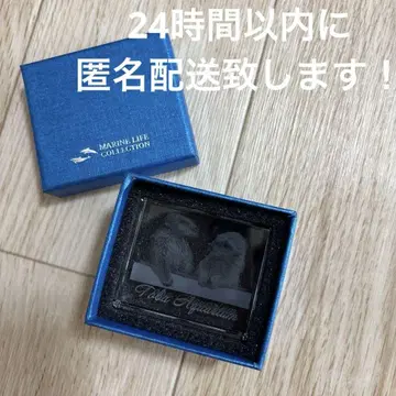 미사용 새상품 토바 수족관 3DB 메이 키라 크리스탈
