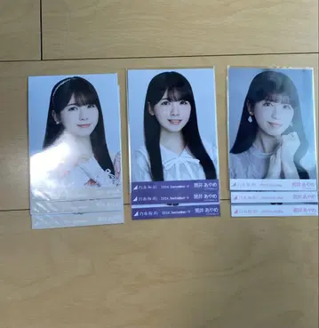 츠츠이 아야메 브로마이드 묶음 판매 프린세스 의상 달력 의상